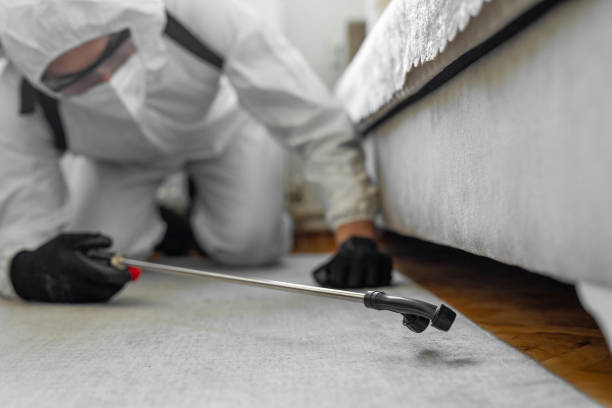 Professional Bed Bug Control technician working in Jeffersonville, IN