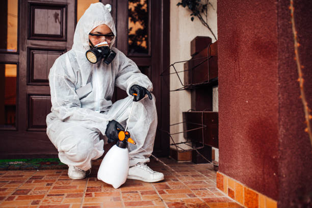 Reliable Bed Bug Control contractor in Jeffersonville, IN by Nex Pest Control