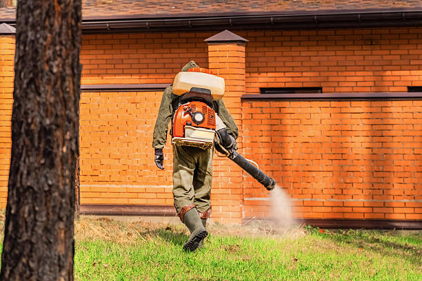 Trusted Bed Bug Control service in Jeffersonville, IN - Nex Pest Control